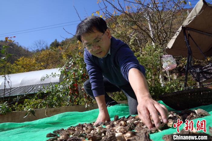 （乡村行·看振兴）“90后”夫妻弃高薪回乡创业：农业农村大有可为